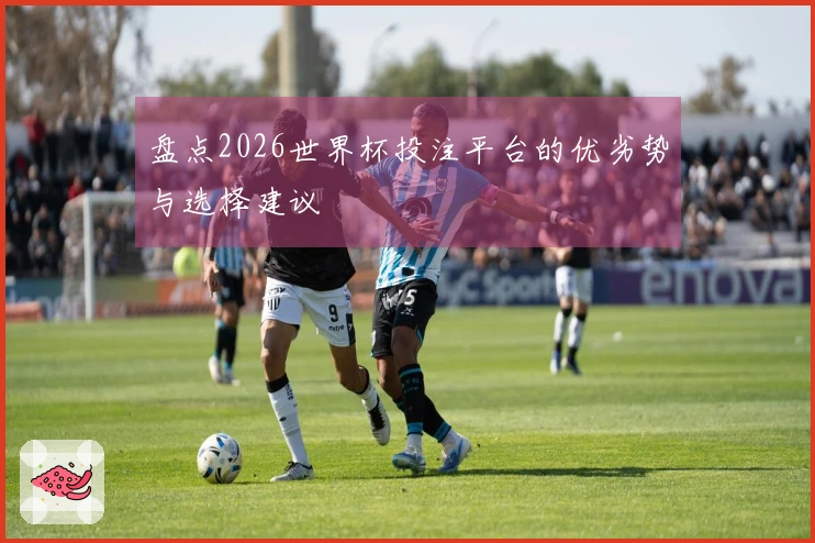 盘点2026世界杯投注平台的优劣势与选择建议