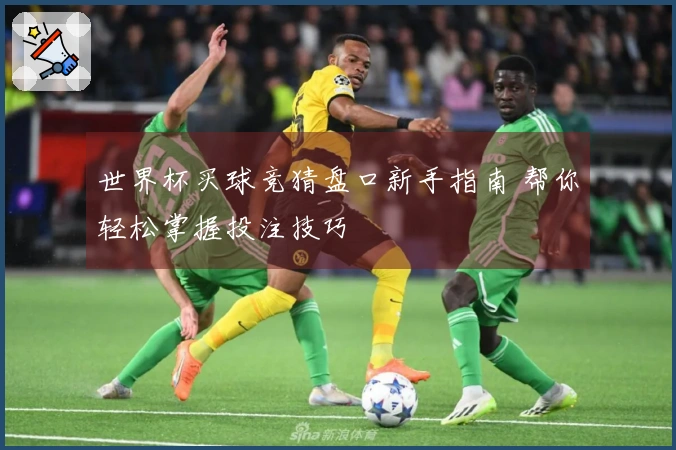 世界杯买球竞猜盘口新手指南 帮你轻松掌握投注技巧