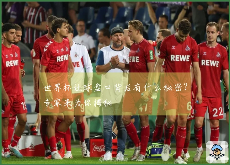 世界杯让球盘口背后有什么秘密？专家来为你揭秘