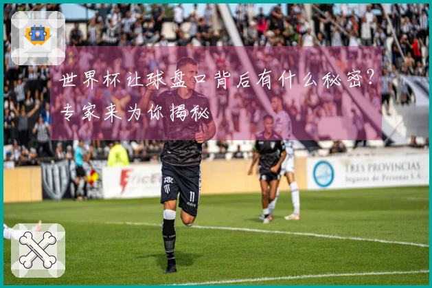 世界杯让球盘口背后有什么秘密？专家来为你揭秘