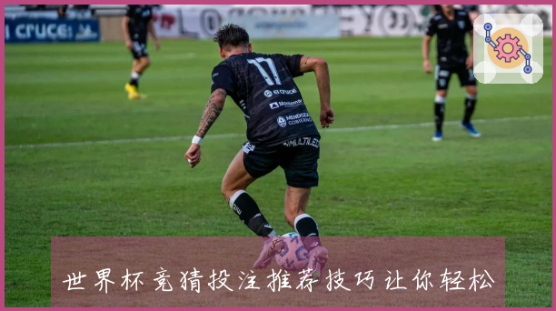 世界杯竞猜投注推荐技巧让你轻松赢利